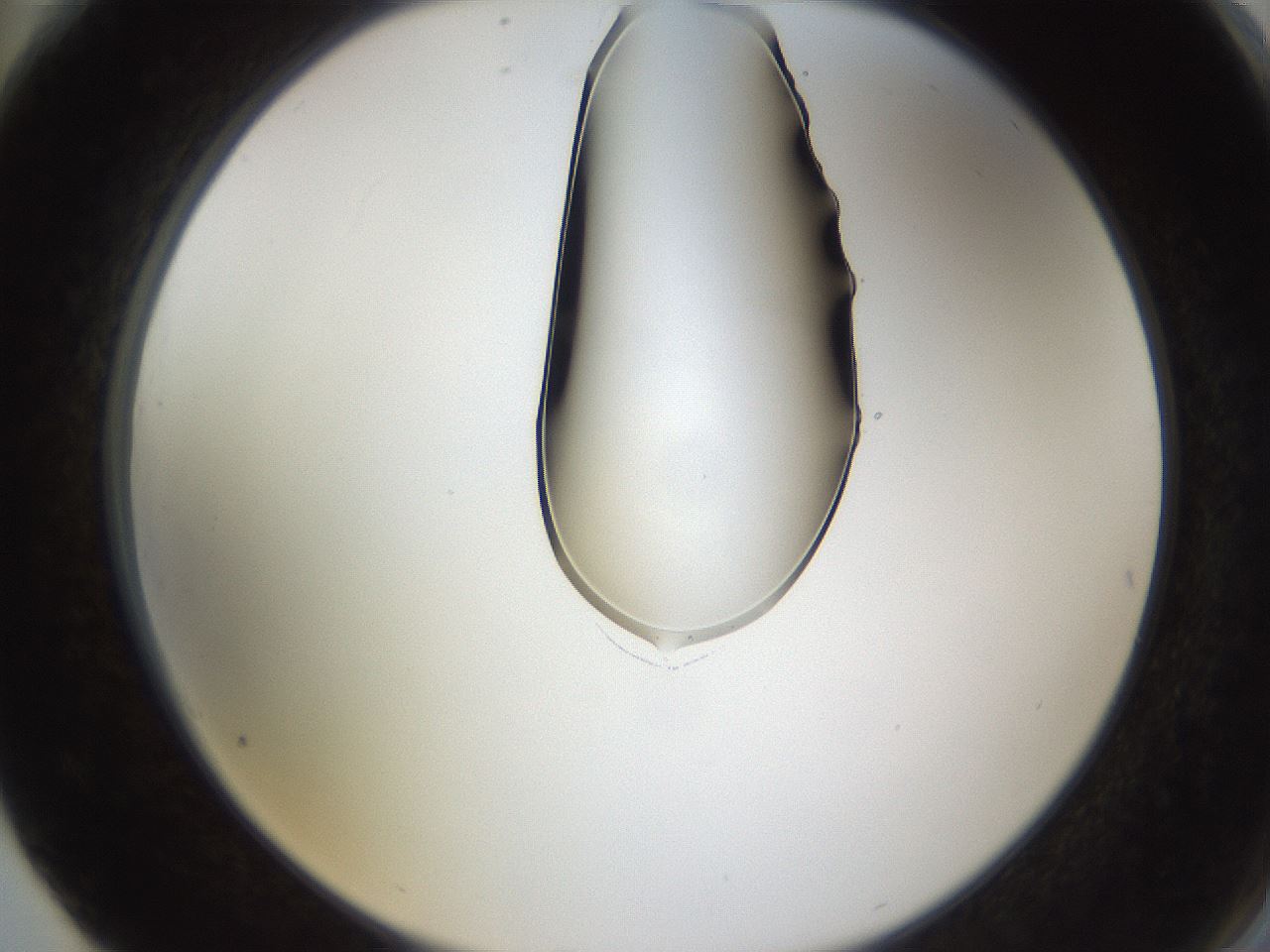 folderID269_plateID1269_batchID4165_wellNum76_profileID1_d2_r73295_ef.jpg