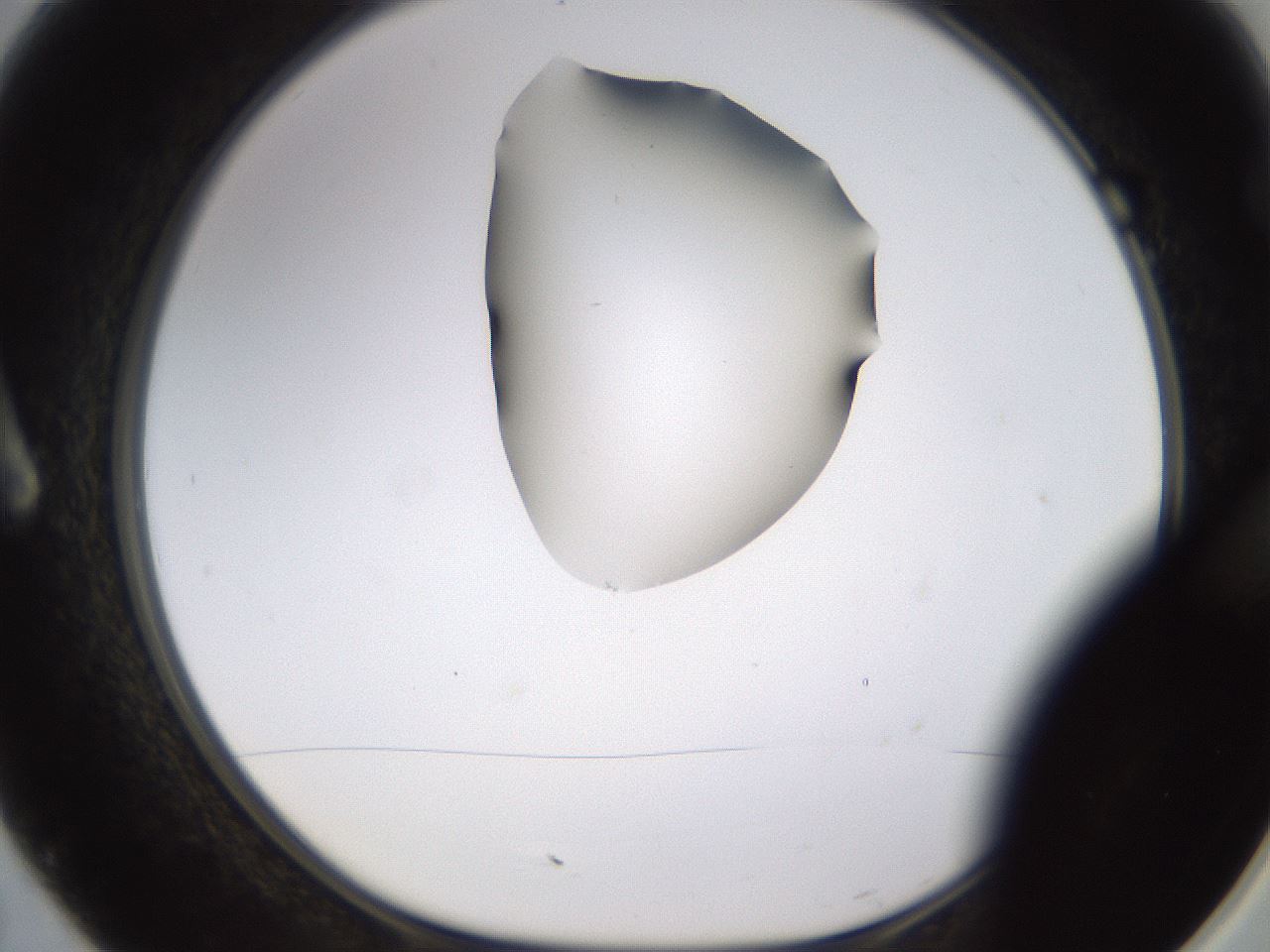 folderID269_plateID1269_batchID4165_wellNum7_profileID1_d1_r73156_ef.jpg