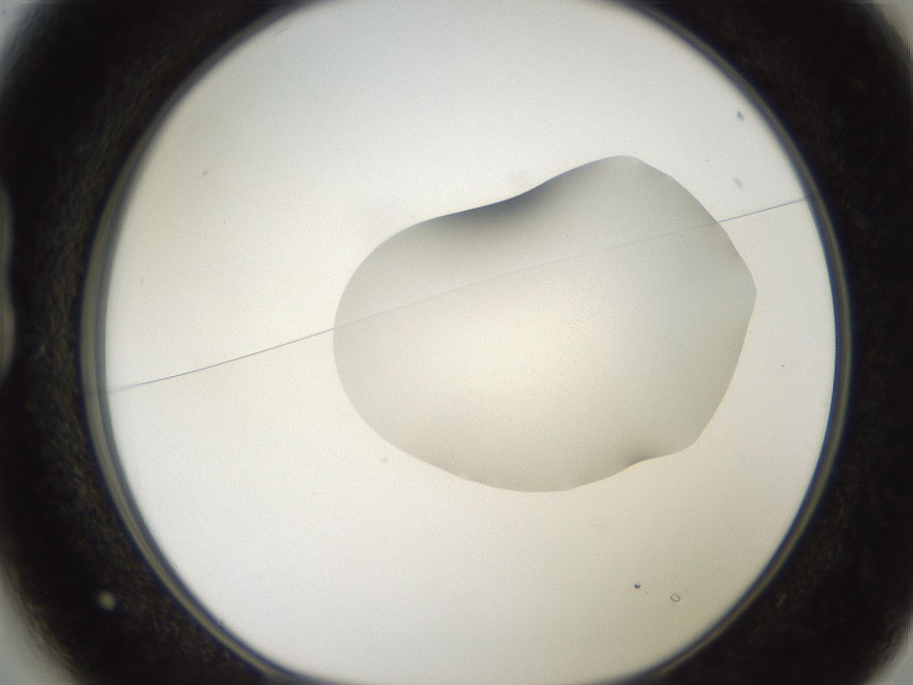 folderID269_plateID2269_batchID10706_wellNum13_profileID1_d1_r158356_ef.jpg