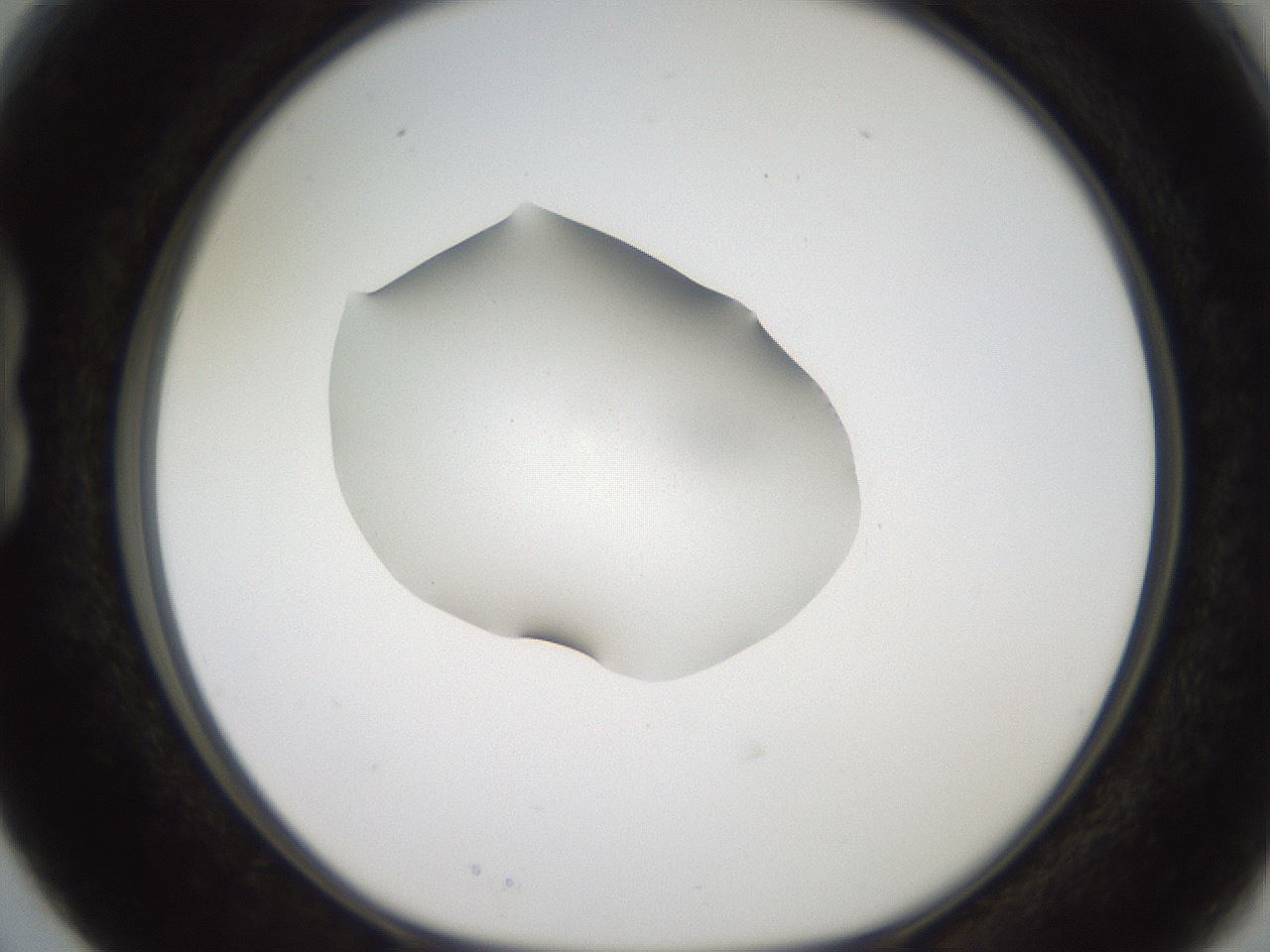 folderID269_plateID2269_batchID10706_wellNum15_profileID1_d1_r158358_ef.jpg