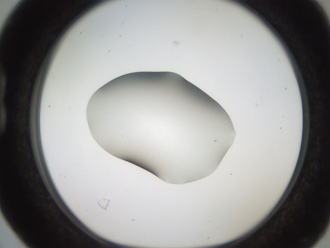 folderID269_plateID2269_batchID10706_wellNum16_profileID1_d1_r158359_ef.jpg