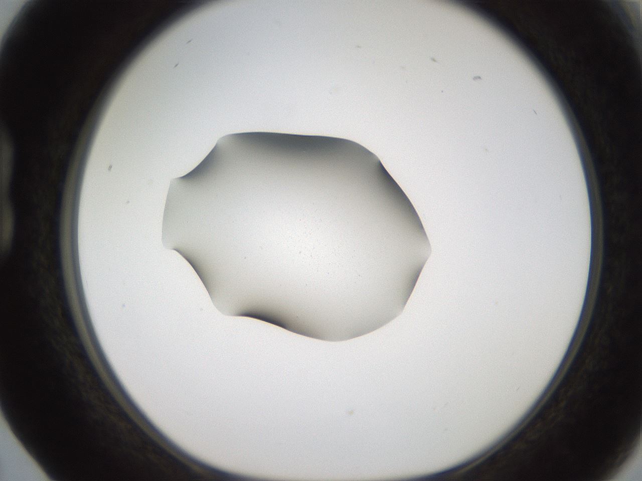 folderID269_plateID2269_batchID10706_wellNum17_profileID1_d1_r158360_ef.jpg