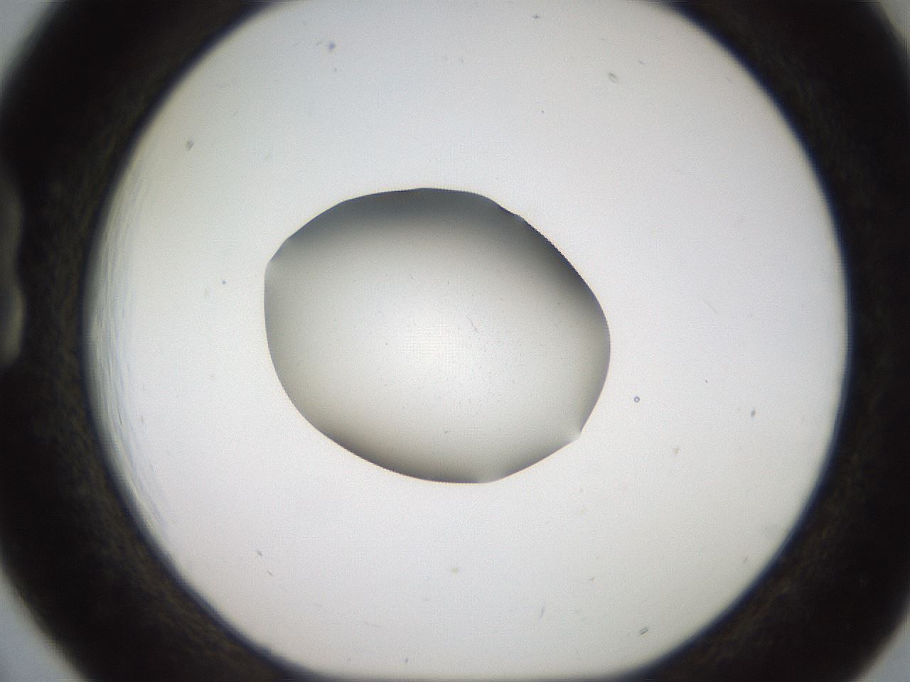 folderID269_plateID2269_batchID10706_wellNum18_profileID1_d1_r158361_ef.jpg
