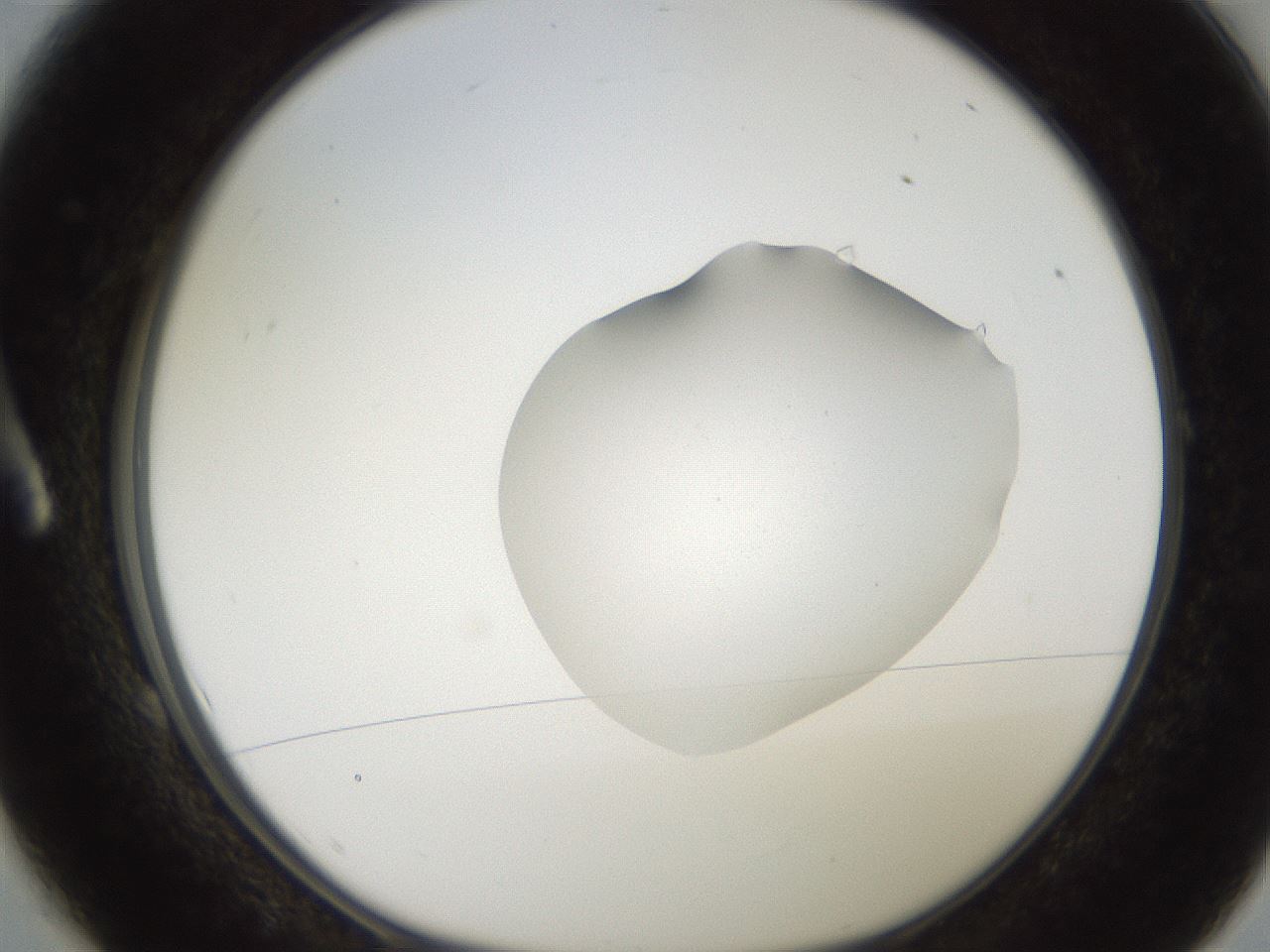 folderID269_plateID2269_batchID10706_wellNum1_profileID1_d1_r158344_ef.jpg