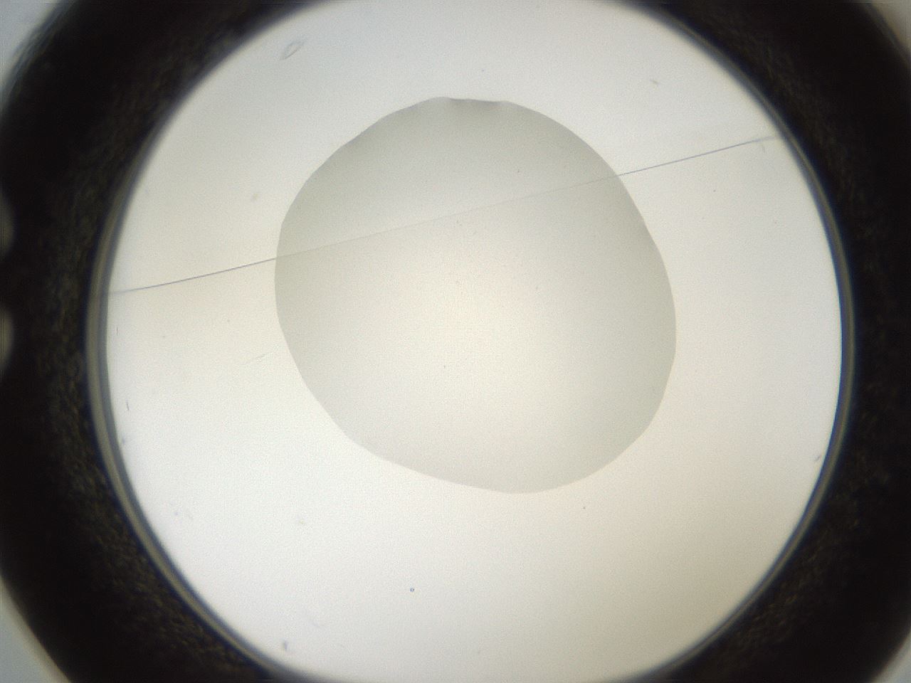 folderID269_plateID2269_batchID10706_wellNum25_profileID1_d1_r158368_ef.jpg