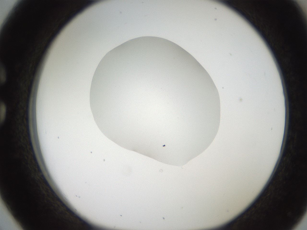 folderID269_plateID2269_batchID10706_wellNum26_profileID1_d1_r158369_ef.jpg