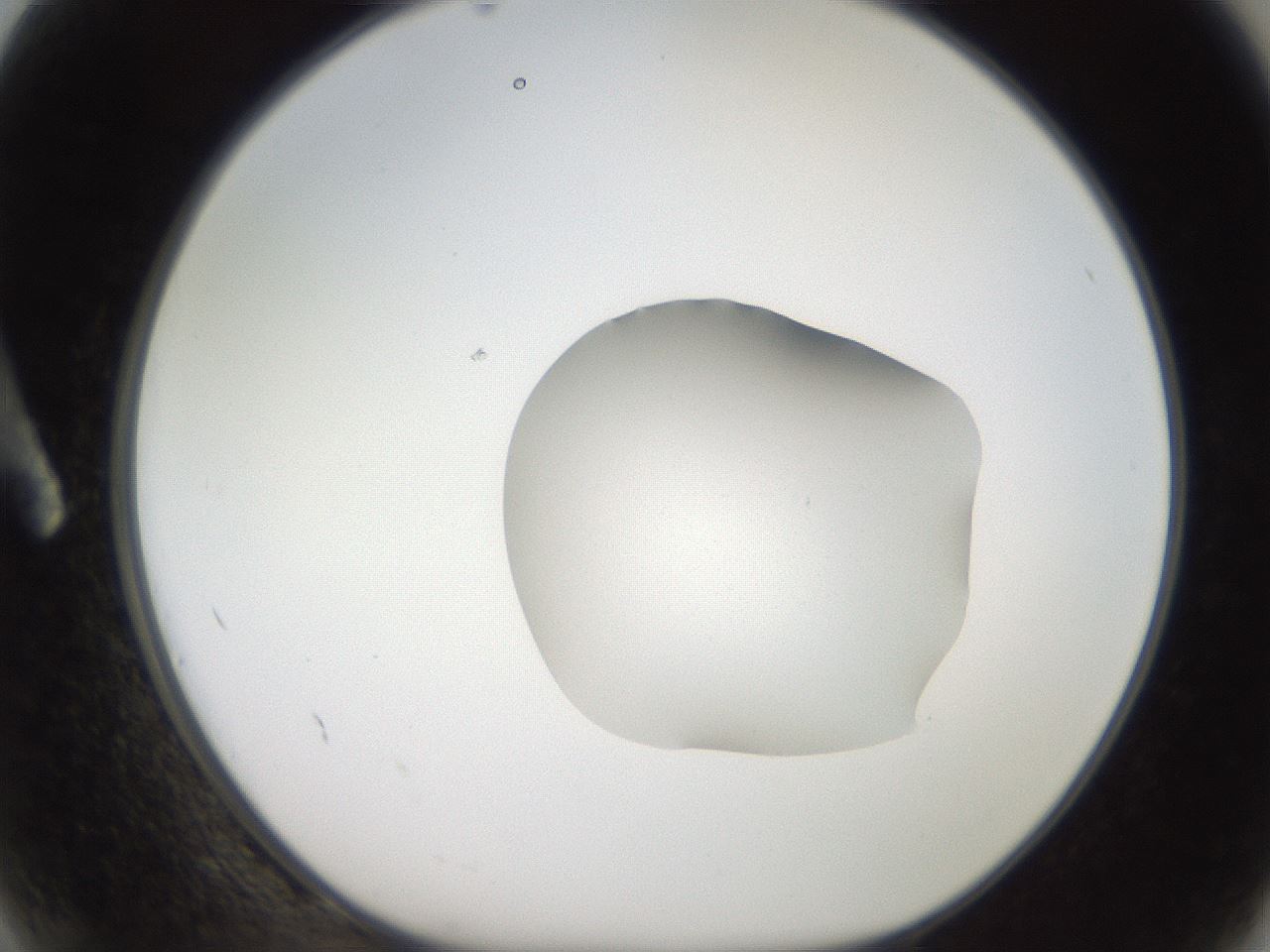 folderID269_plateID2269_batchID10706_wellNum2_profileID1_d1_r158345_ef.jpg