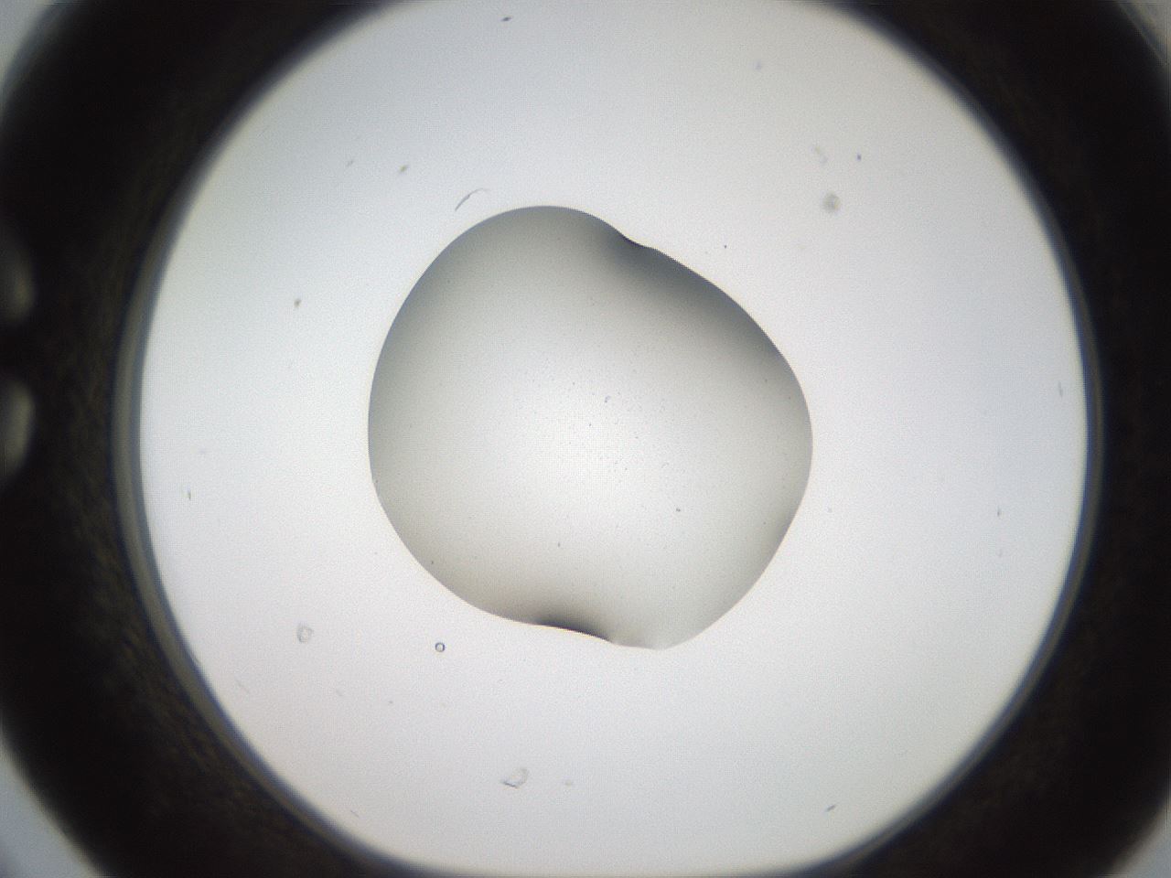 folderID269_plateID2269_batchID10706_wellNum30_profileID1_d1_r158373_ef.jpg