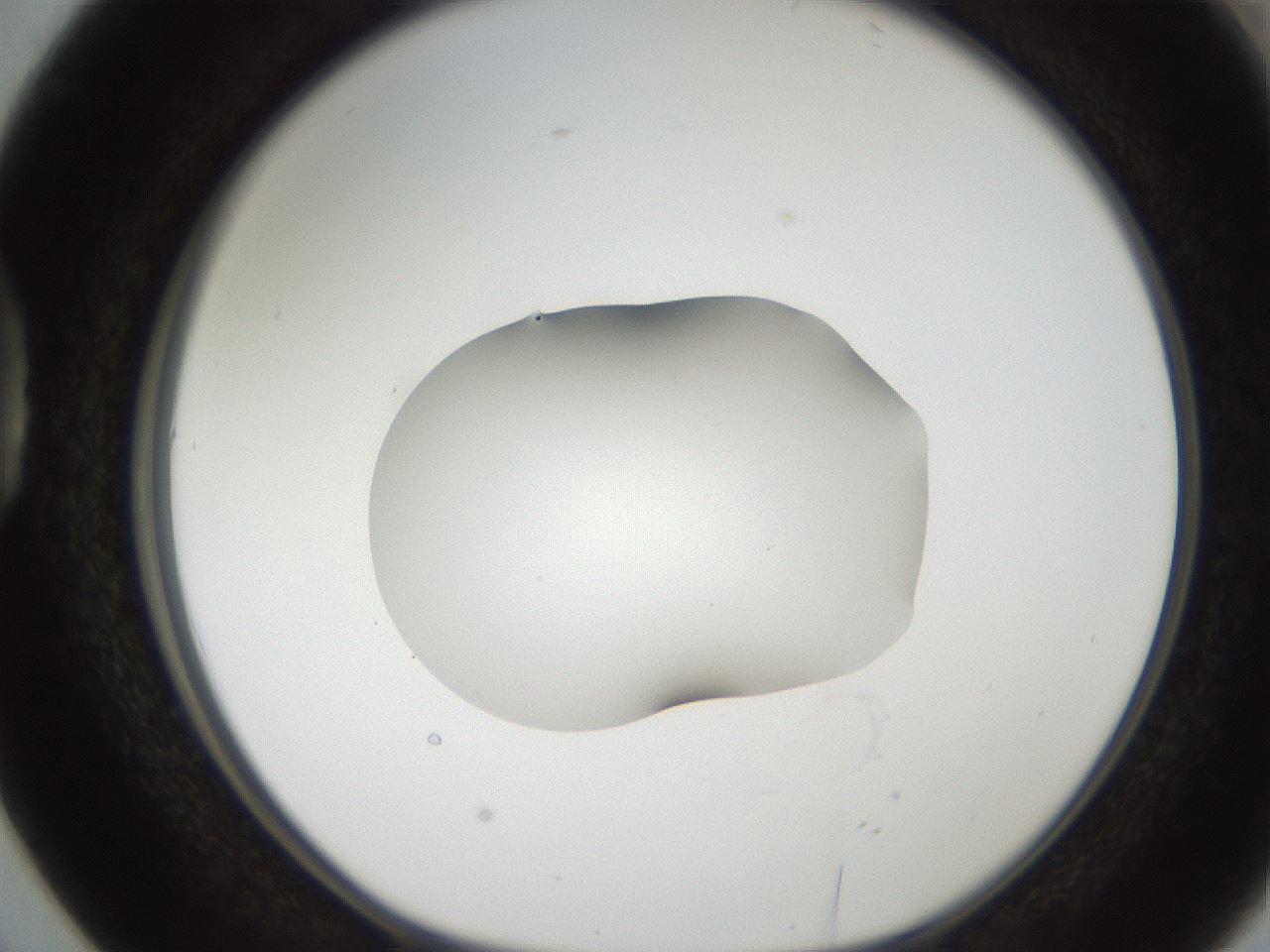 folderID269_plateID2269_batchID10706_wellNum38_profileID1_d1_r158381_ef.jpg