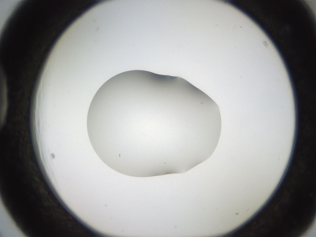folderID269_plateID2269_batchID10706_wellNum39_profileID1_d1_r158382_ef.jpg