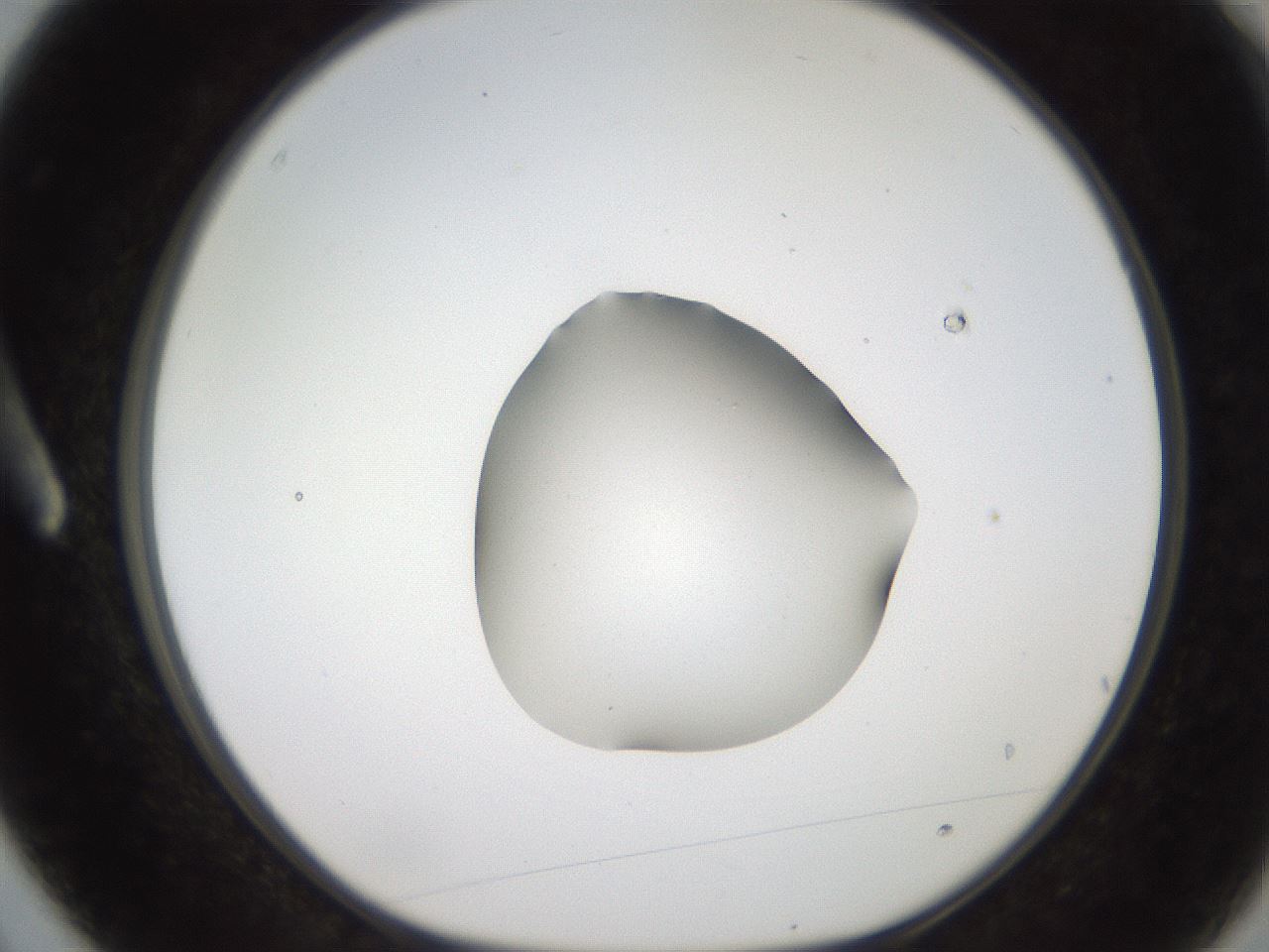 folderID269_plateID2269_batchID10706_wellNum3_profileID1_d1_r158346_ef.jpg
