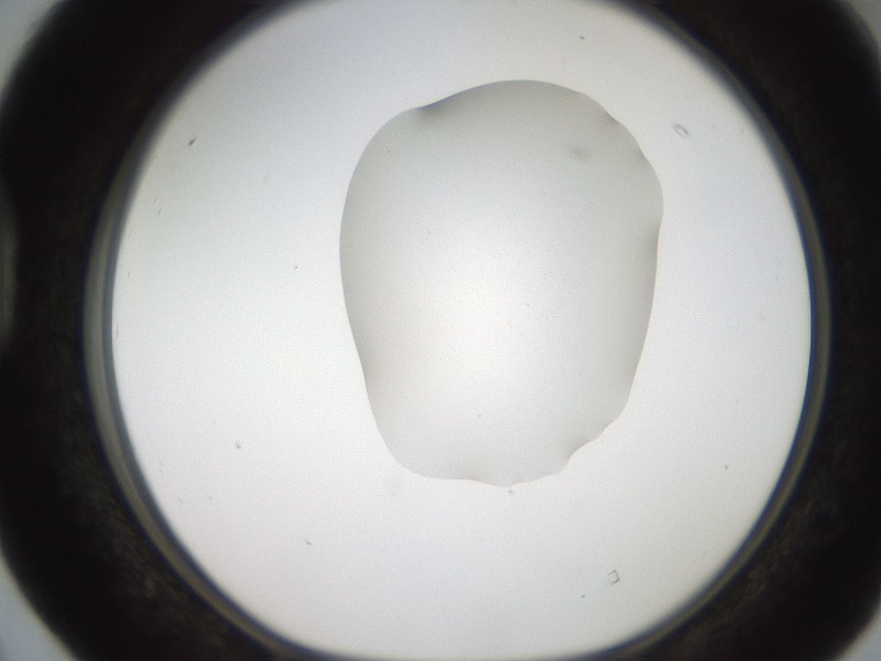 folderID269_plateID2269_batchID10706_wellNum40_profileID1_d1_r158383_ef.jpg