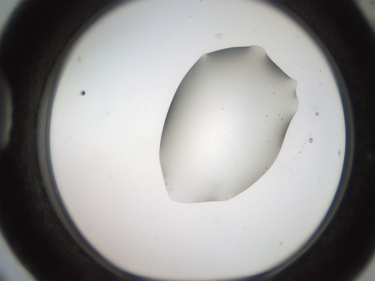 folderID269_plateID2269_batchID10706_wellNum42_profileID1_d1_r158385_ef.jpg