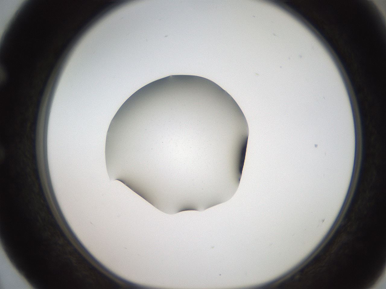 folderID269_plateID2269_batchID10706_wellNum52_profileID1_d1_r158395_ef.jpg