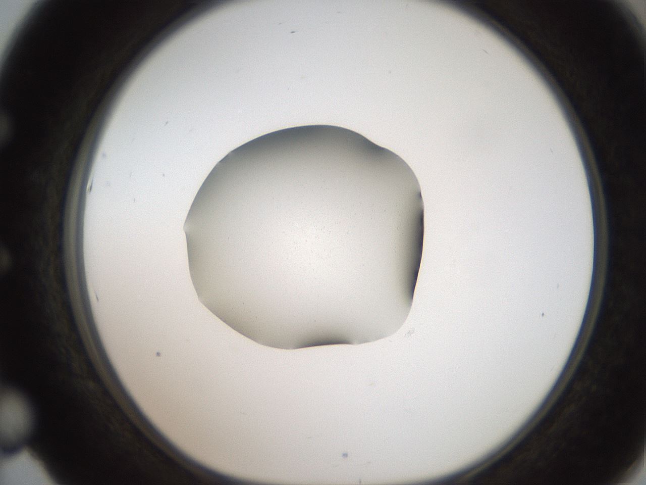 folderID269_plateID2269_batchID10706_wellNum53_profileID1_d1_r158396_ef.jpg