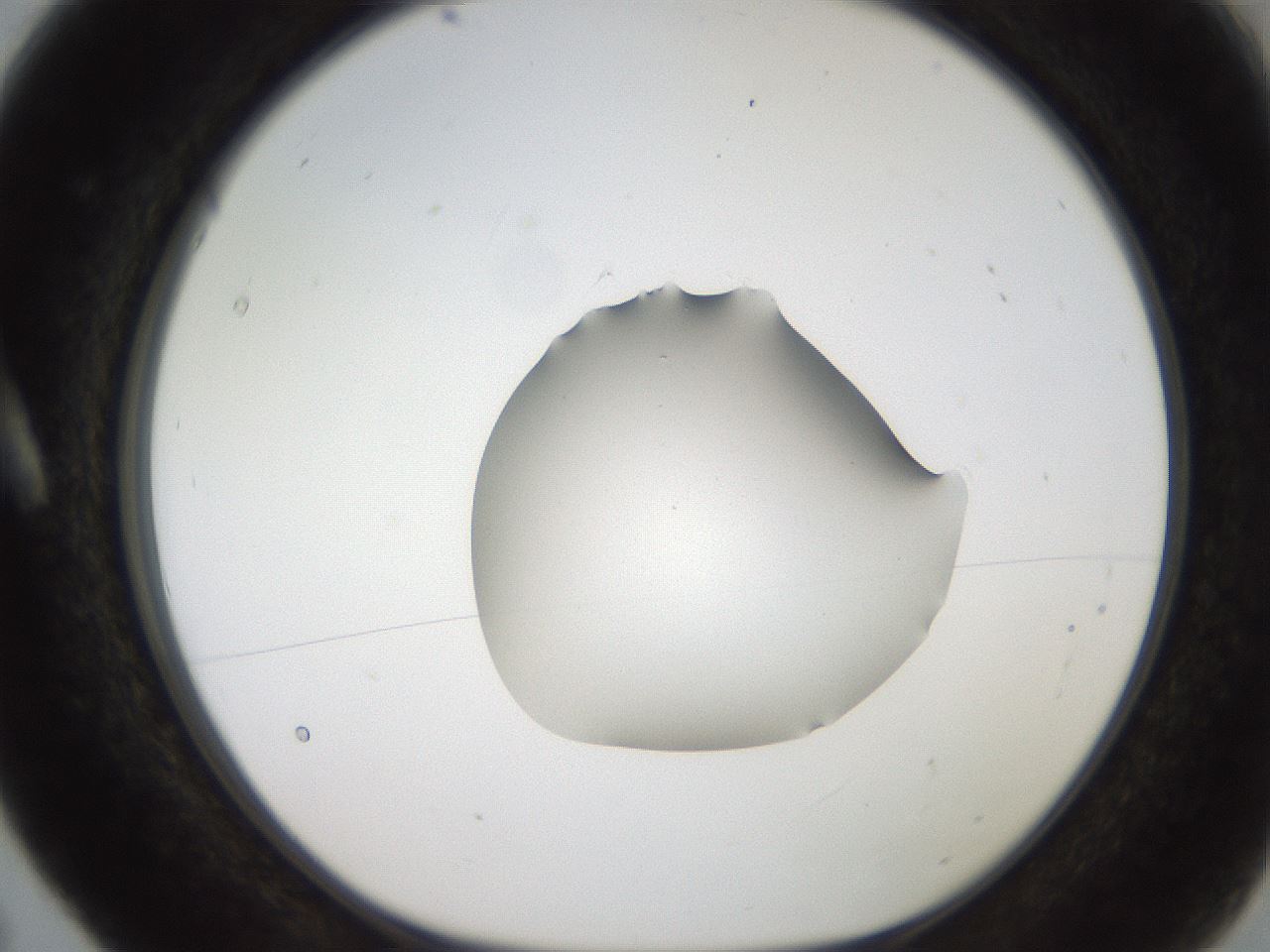 folderID269_plateID2269_batchID10706_wellNum5_profileID1_d1_r158348_ef.jpg