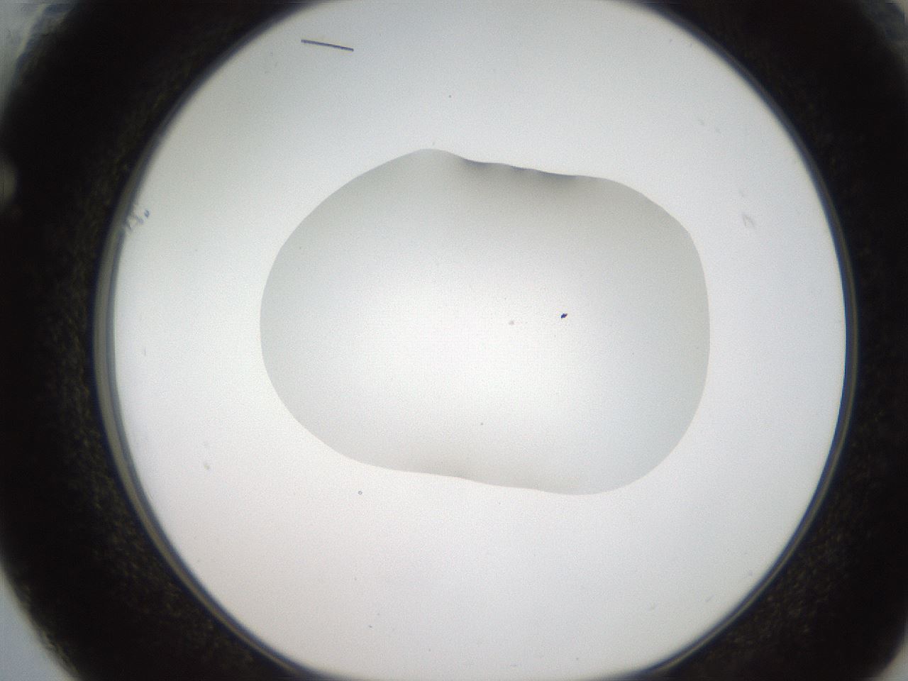 folderID269_plateID2269_batchID10706_wellNum61_profileID1_d1_r158404_ef.jpg