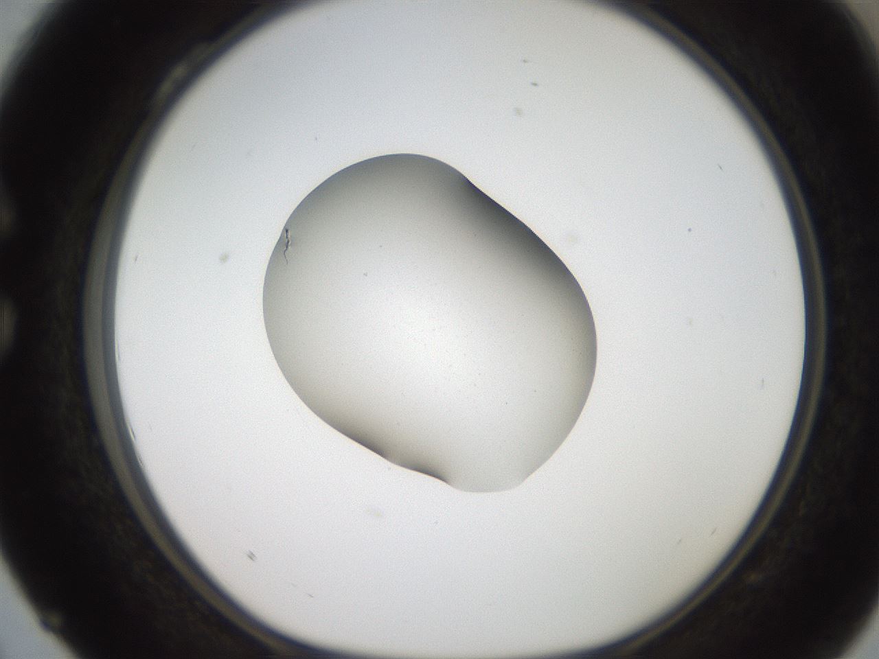 folderID269_plateID2269_batchID10706_wellNum28_profileID1_d1_r158371_ef.jpg