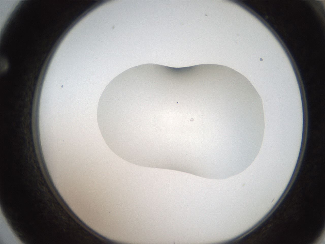 folderID269_plateID2269_batchID10706_wellNum62_profileID1_d1_r158405_ef.jpg