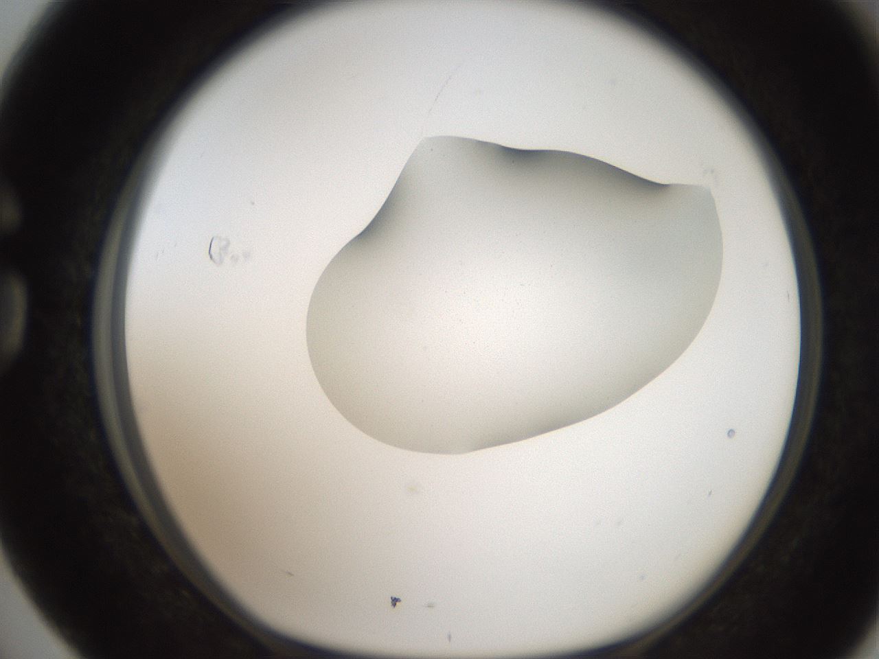 folderID269_plateID2269_batchID10706_wellNum76_profileID1_d1_r158419_ef.jpg