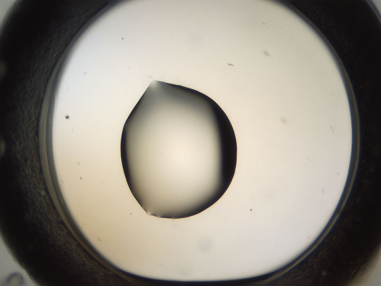 folderID26_plateID1026_batchID1896_wellNum59_profileID1_d1_r43710_ef.jpg