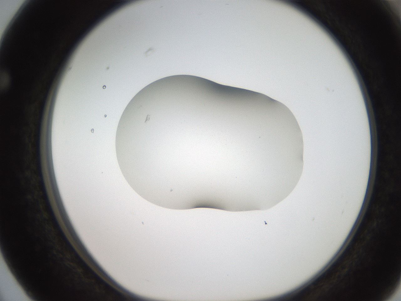 folderID269_plateID2269_batchID10706_wellNum63_profileID1_d1_r158406_ef.jpg