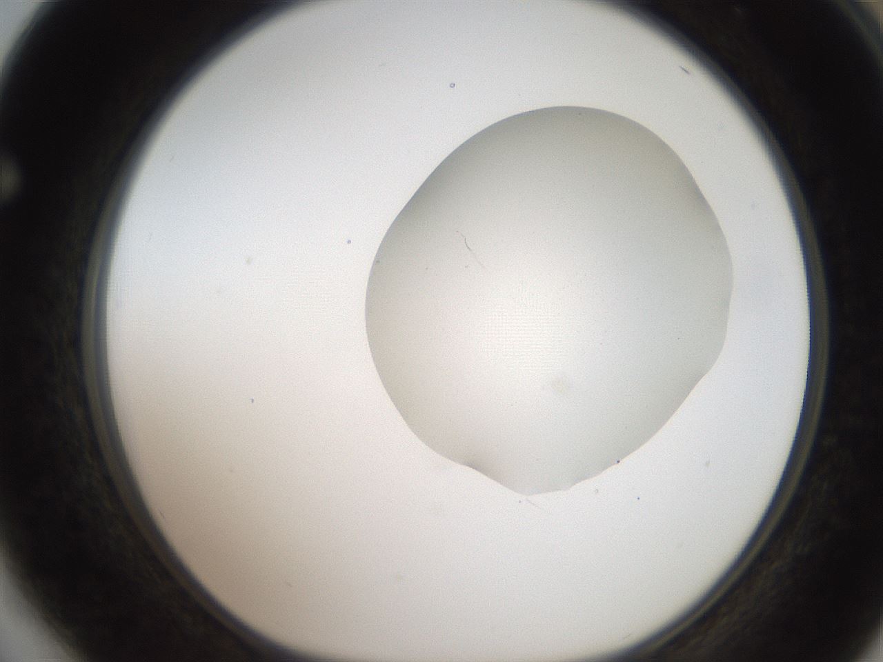 folderID269_plateID2269_batchID10706_wellNum64_profileID1_d1_r158407_ef.jpg