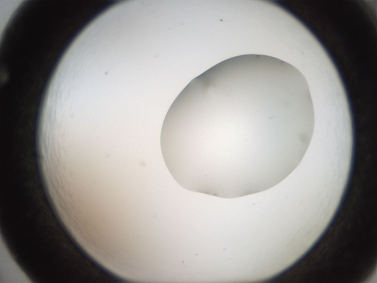 folderID269_plateID2269_batchID10706_wellNum65_profileID1_d1_r158408_ef.jpg