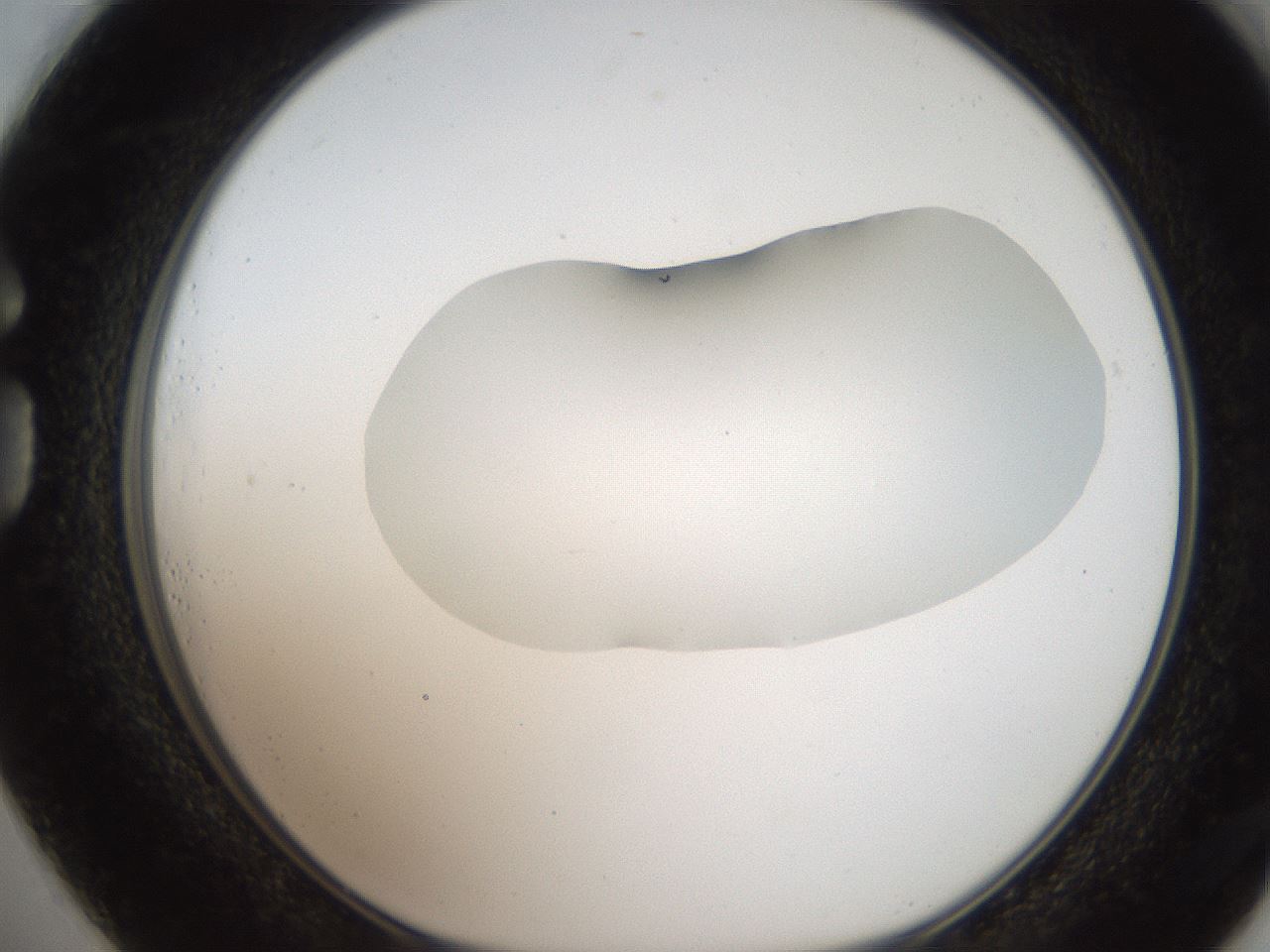 folderID269_plateID2269_batchID10706_wellNum73_profileID1_d1_r158416_ef.jpg