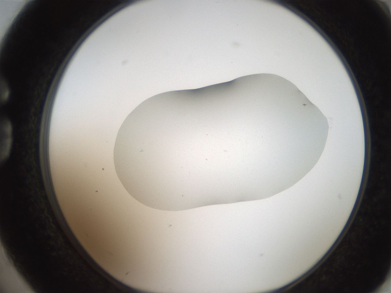 folderID269_plateID2269_batchID10706_wellNum74_profileID1_d1_r158417_ef.jpg