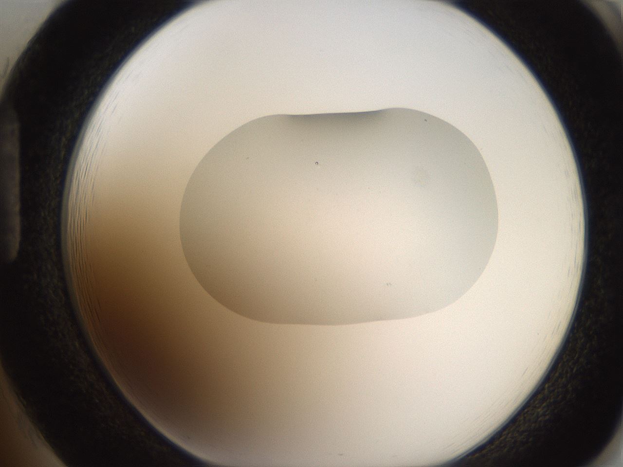 folderID269_plateID2269_batchID10706_wellNum85_profileID1_d1_r158428_ef.jpg