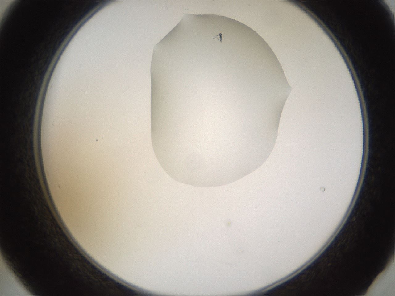 folderID270_plateID1270_batchID4167_wellNum21_profileID1_d2_r73761_ef.jpg