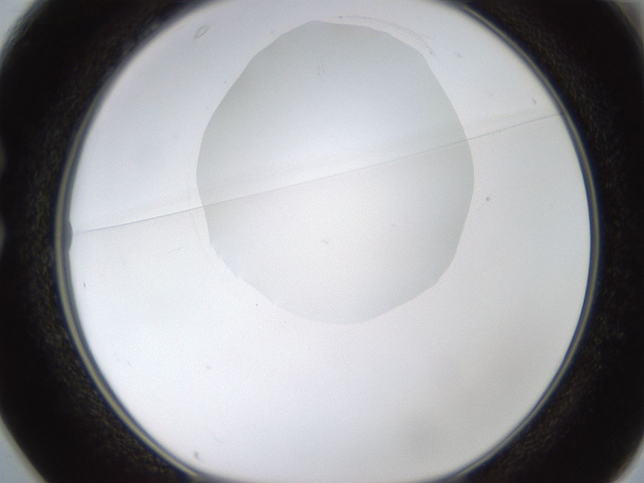 folderID270_plateID1270_batchID4167_wellNum25_profileID1_d1_r73768_ef.jpg