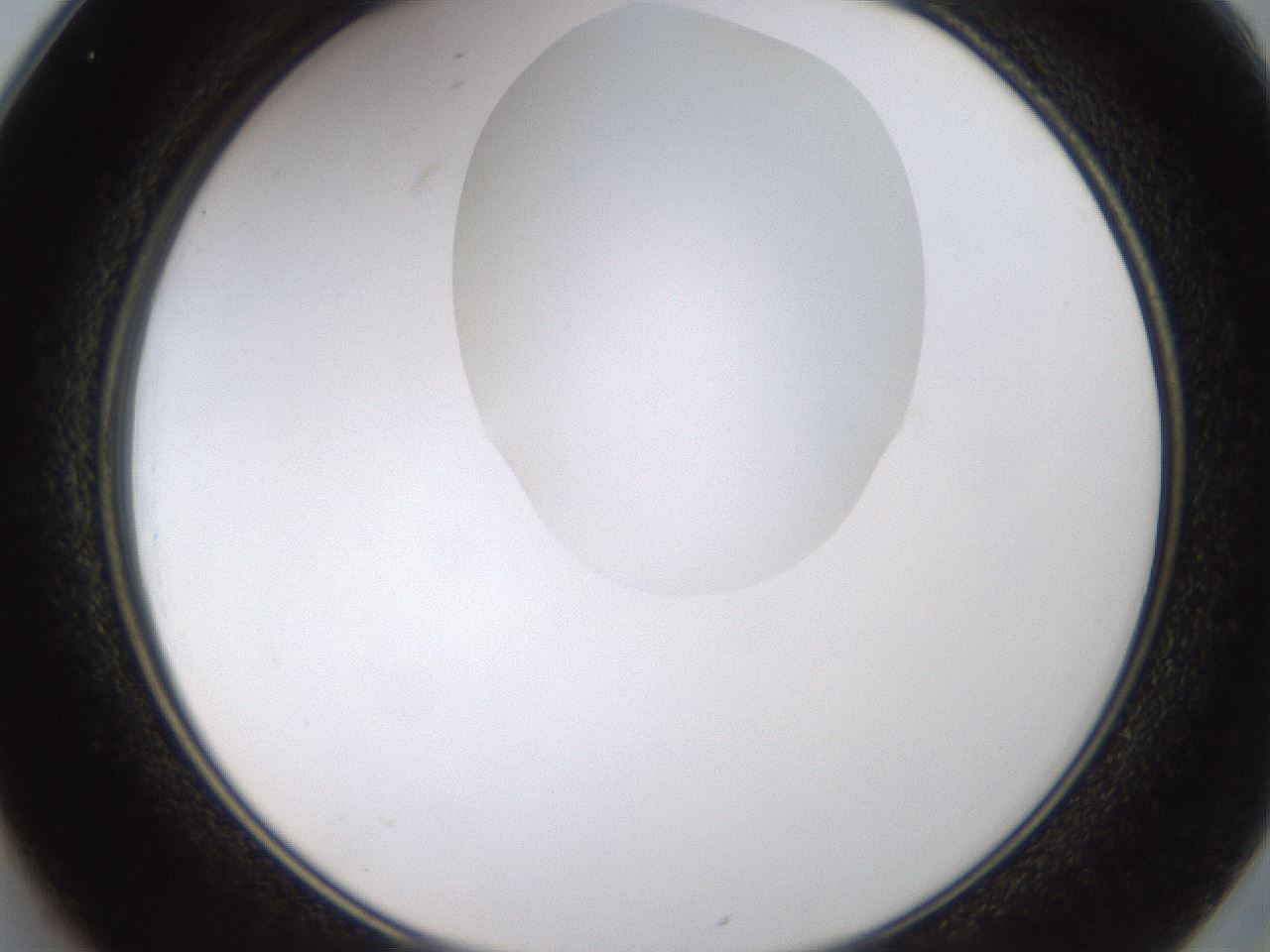 folderID270_plateID1270_batchID4167_wellNum25_profileID1_d2_r73769_ef.jpg