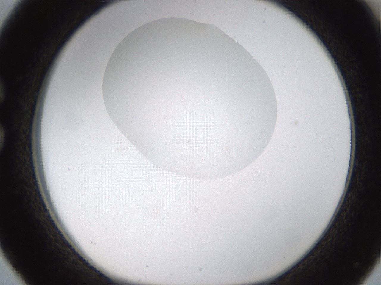 folderID270_plateID1270_batchID4167_wellNum26_profileID1_d1_r73770_ef.jpg