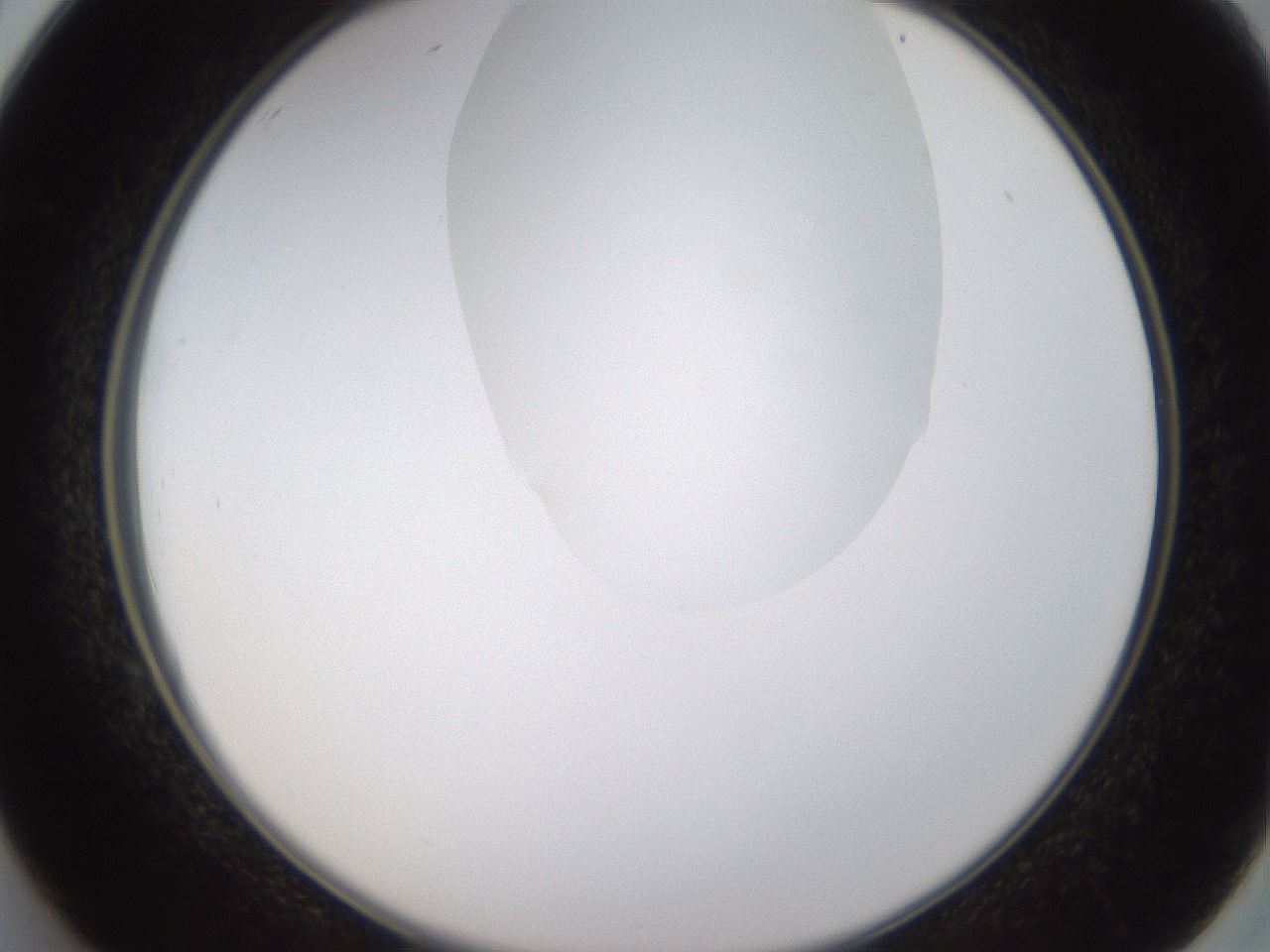 folderID270_plateID1270_batchID4167_wellNum26_profileID1_d2_r73771_ef.jpg