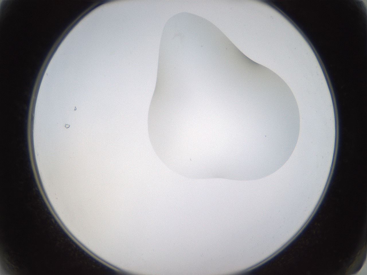folderID270_plateID1270_batchID4167_wellNum2_profileID1_d2_r73723_ef.jpg