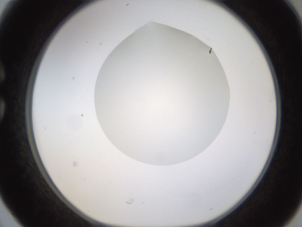 folderID270_plateID1270_batchID4167_wellNum30_profileID1_d1_r73778_ef.jpg