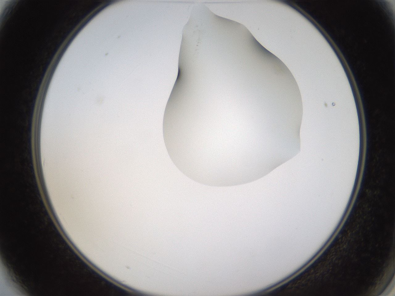 folderID270_plateID1270_batchID4167_wellNum3_profileID1_d2_r73725_ef.jpg
