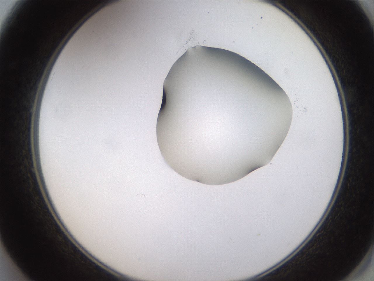 folderID270_plateID1270_batchID4167_wellNum49_profileID1_d2_r73817_ef.jpg