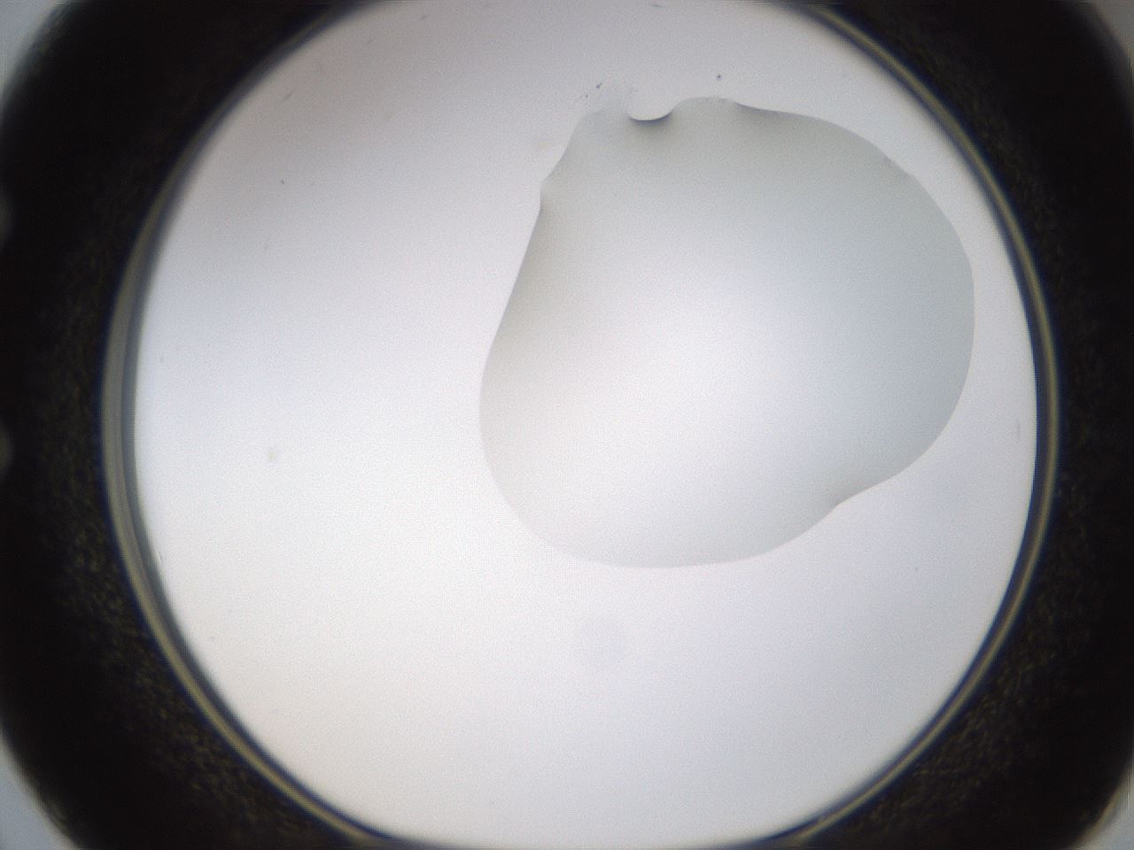 folderID270_plateID1270_batchID4167_wellNum50_profileID1_d1_r73818_ef.jpg