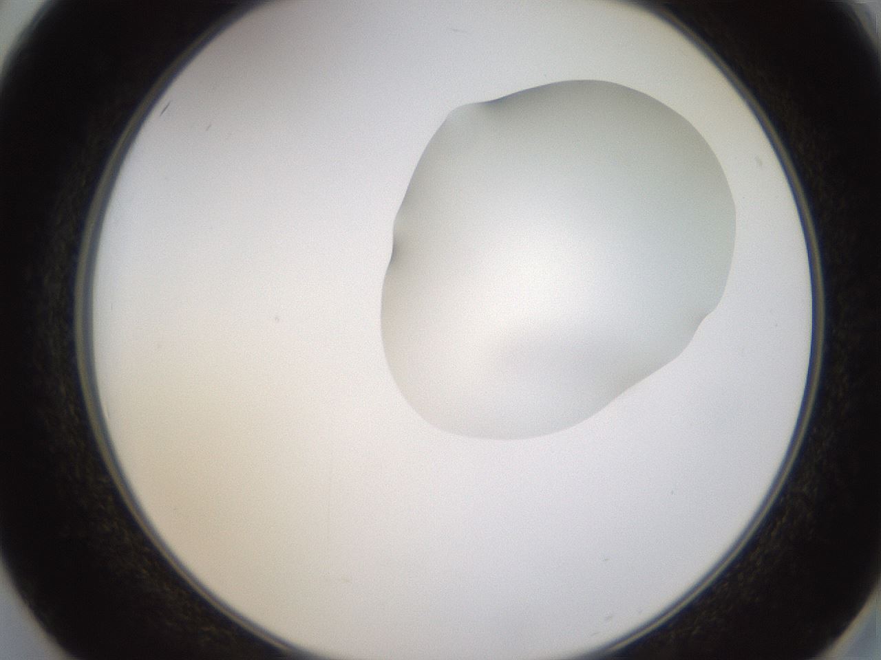 folderID270_plateID1270_batchID4167_wellNum50_profileID1_d2_r73819_ef.jpg