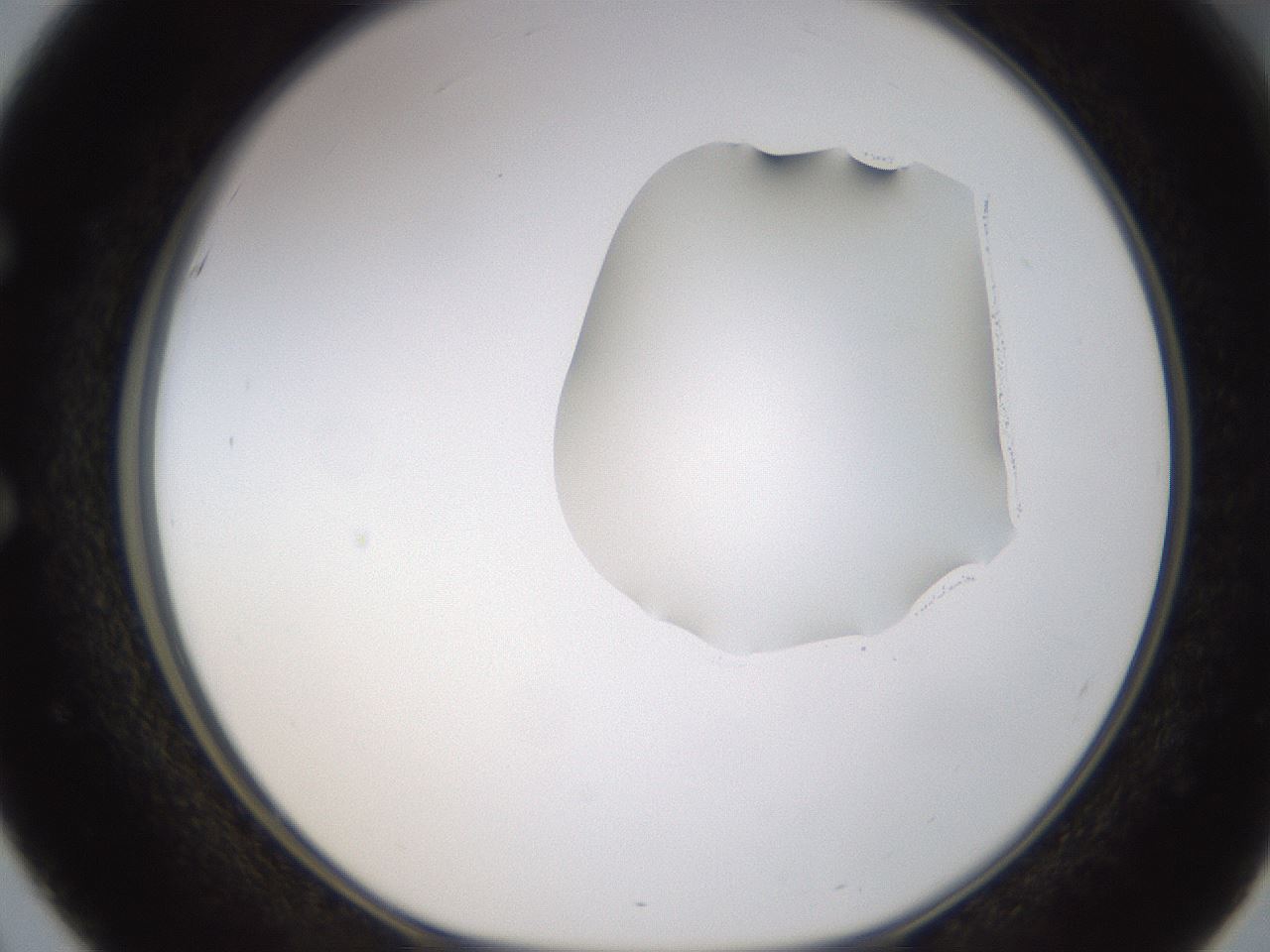 folderID270_plateID1270_batchID4167_wellNum51_profileID1_d1_r73820_ef.jpg