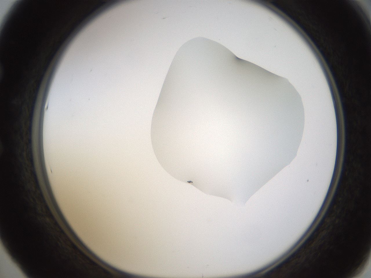 folderID270_plateID1270_batchID4167_wellNum53_profileID1_d1_r73824_ef.jpg