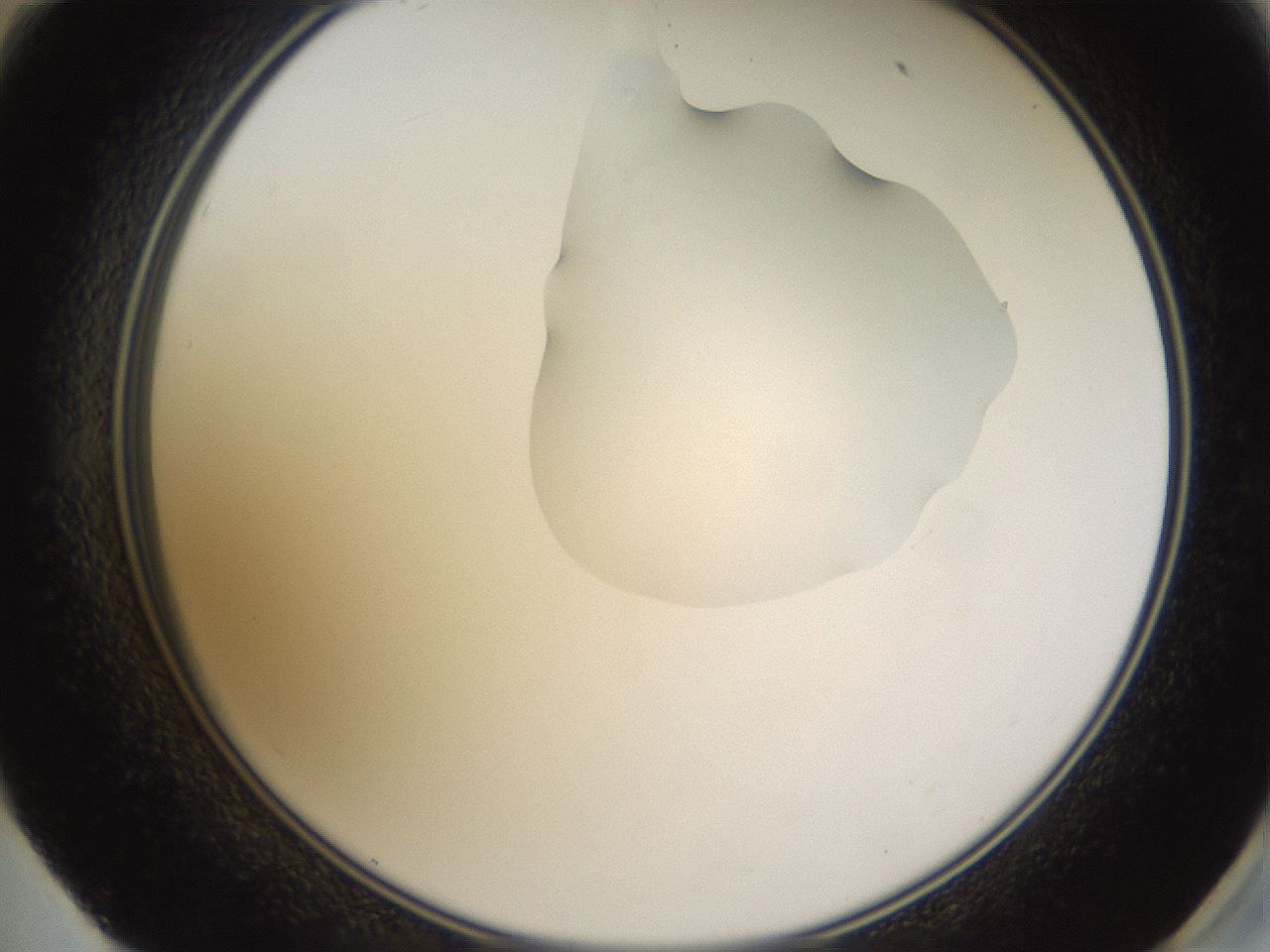 folderID270_plateID1270_batchID4167_wellNum59_profileID1_d2_r73837_ef.jpg