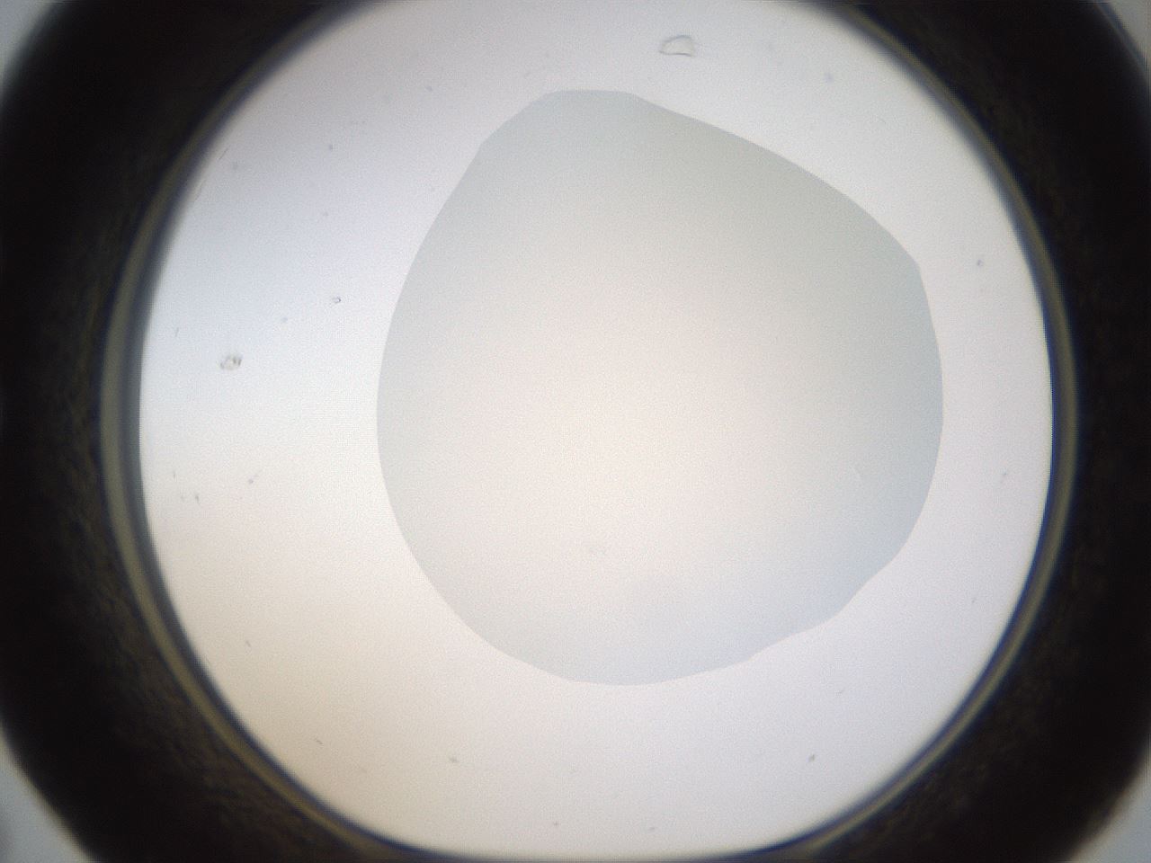 folderID270_plateID1270_batchID4167_wellNum31_profileID1_d1_r73780_ef.jpg