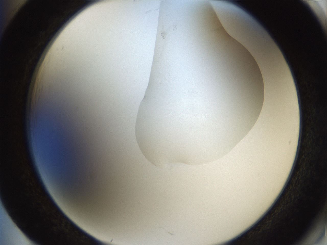 folderID270_plateID1270_batchID4167_wellNum85_profileID1_d2_r73889_ef.jpg