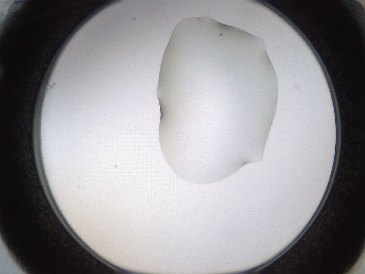 folderID270_plateID1270_batchID4167_wellNum61_profileID1_d1_r73840_ef.jpg