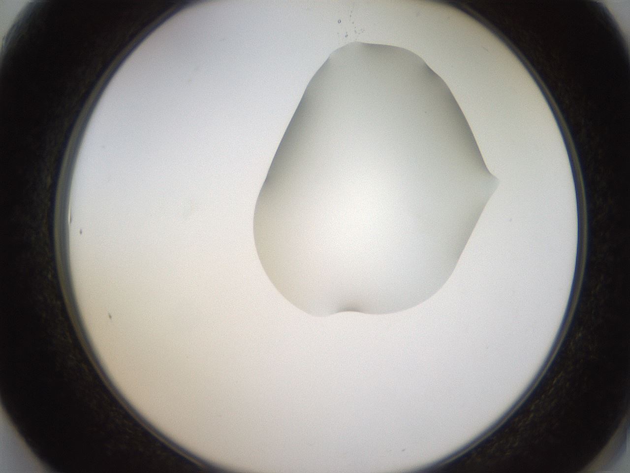 folderID270_plateID1270_batchID4167_wellNum61_profileID1_d2_r73841_ef.jpg