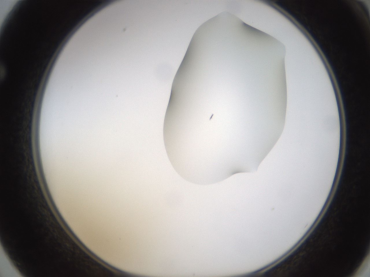 folderID270_plateID1270_batchID4167_wellNum62_profileID1_d1_r73842_ef.jpg